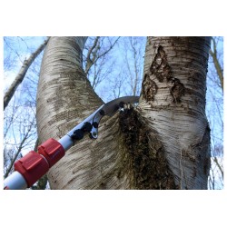 Silky Pole Saw Forester 3000-7.5