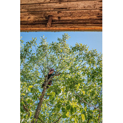 Silky Pruning Saw Tsurugi Curve 330-7.5