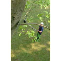 Teleskopska žaga Silky Hayauchi 6300-6.5, žaganje visokih vej je enostavno